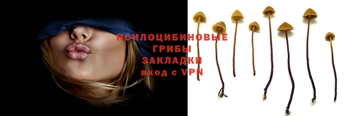 прущая мука Алзамай
