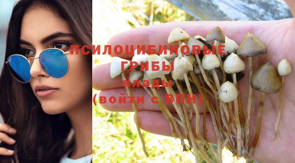 таблы Алексеевка