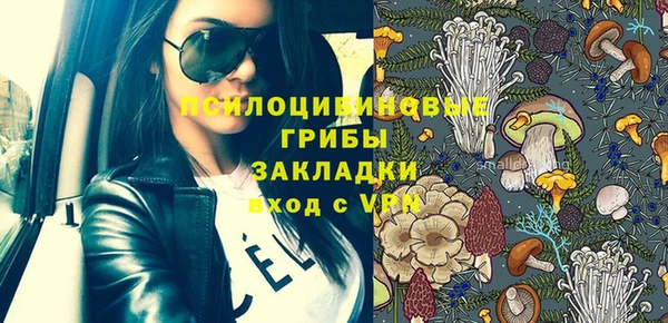 прущая мука Алзамай