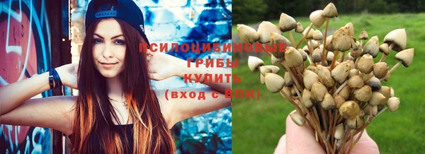 прущая мука Алзамай